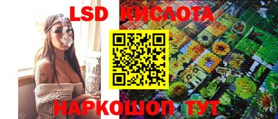прущие грибы Малгобек