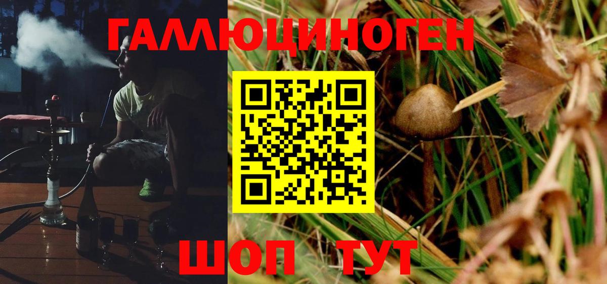 Шелехов  Псилоцибиновые грибы Psilocybine cubensis  Вход с VPN  Галлюциногенные грибы прущие грибы 